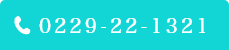 0229-22-1321